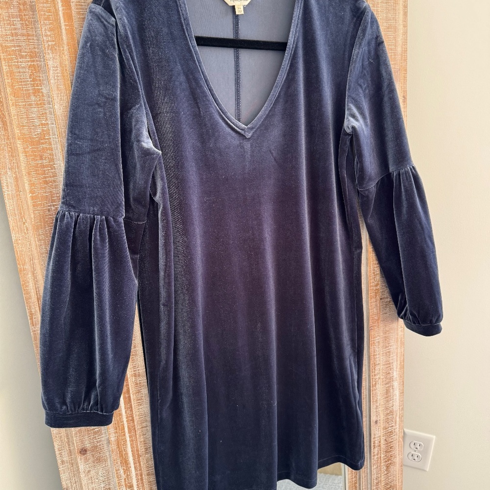 madewell velvet dress xs